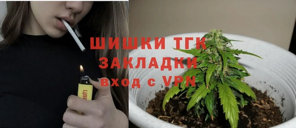крисы Белокуриха