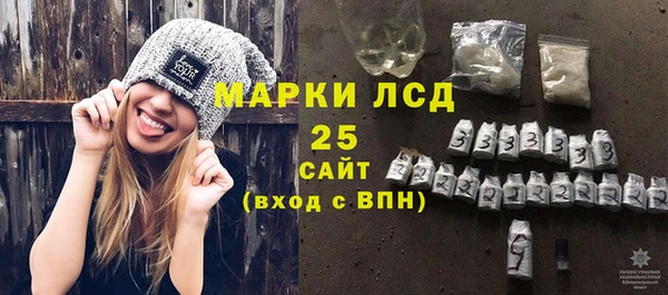 сатива Сясьстрой