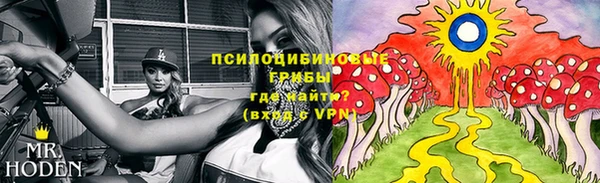 крисы Белокуриха