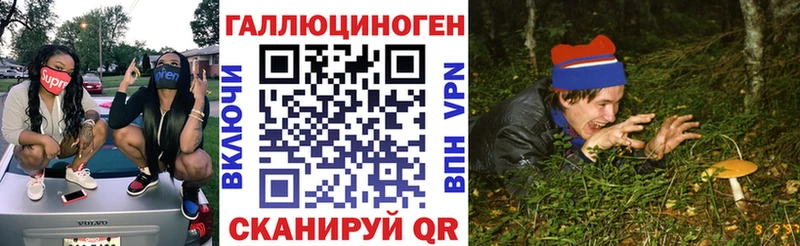 закладка  Югорск  Галлюциногенные грибы прущие грибы 