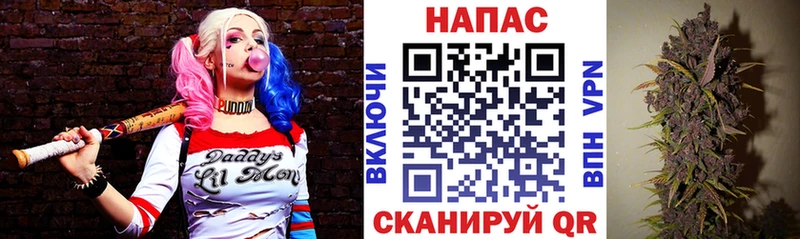 Конопля SATIVA & INDICA  Югорск 
